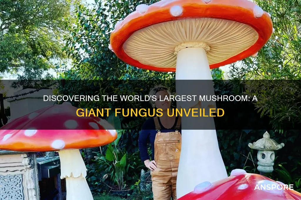 what is the biggest mushroom in the world