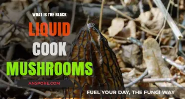 Unveiling the Mystery of Black Liquid in Cooking Mushrooms