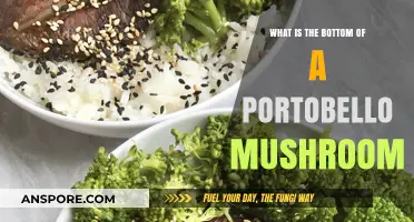 Exploring the Portobello Mushroom's Base: What Lies Beneath the Cap?