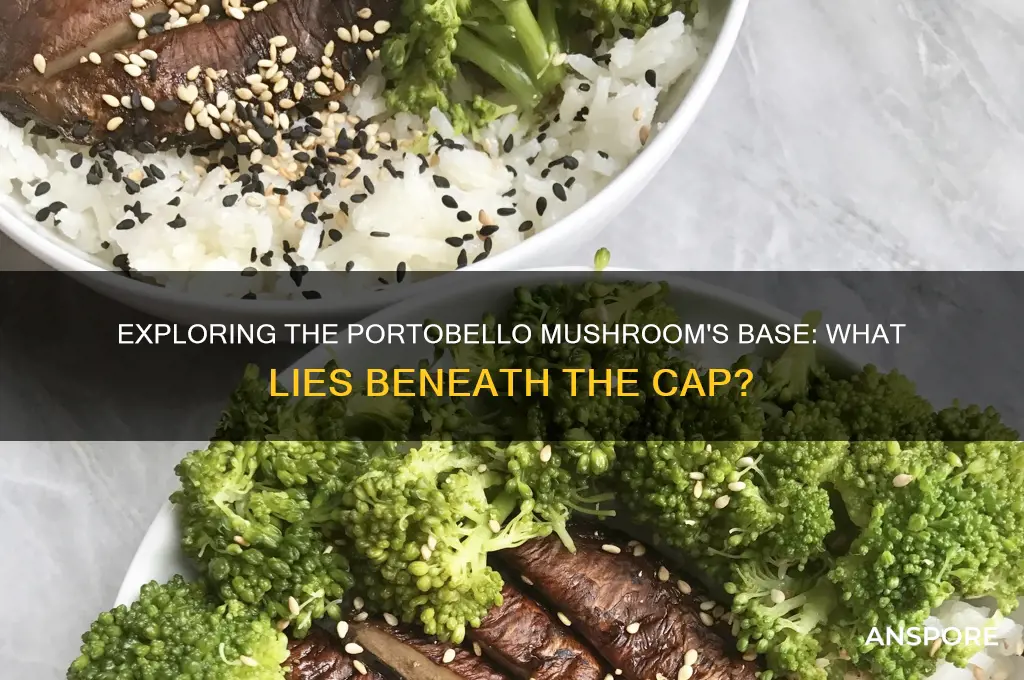 what is the bottom of a portobello mushroom