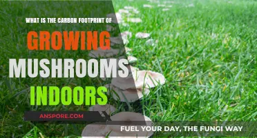 Indoor Mushroom Farming: Unveiling Its Carbon Footprint Impact