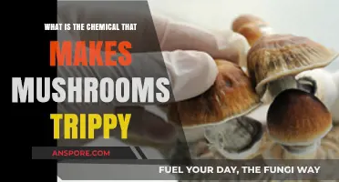 Unveiling Psilocybin: The Psychedelic Compound Behind Mushroom Trips