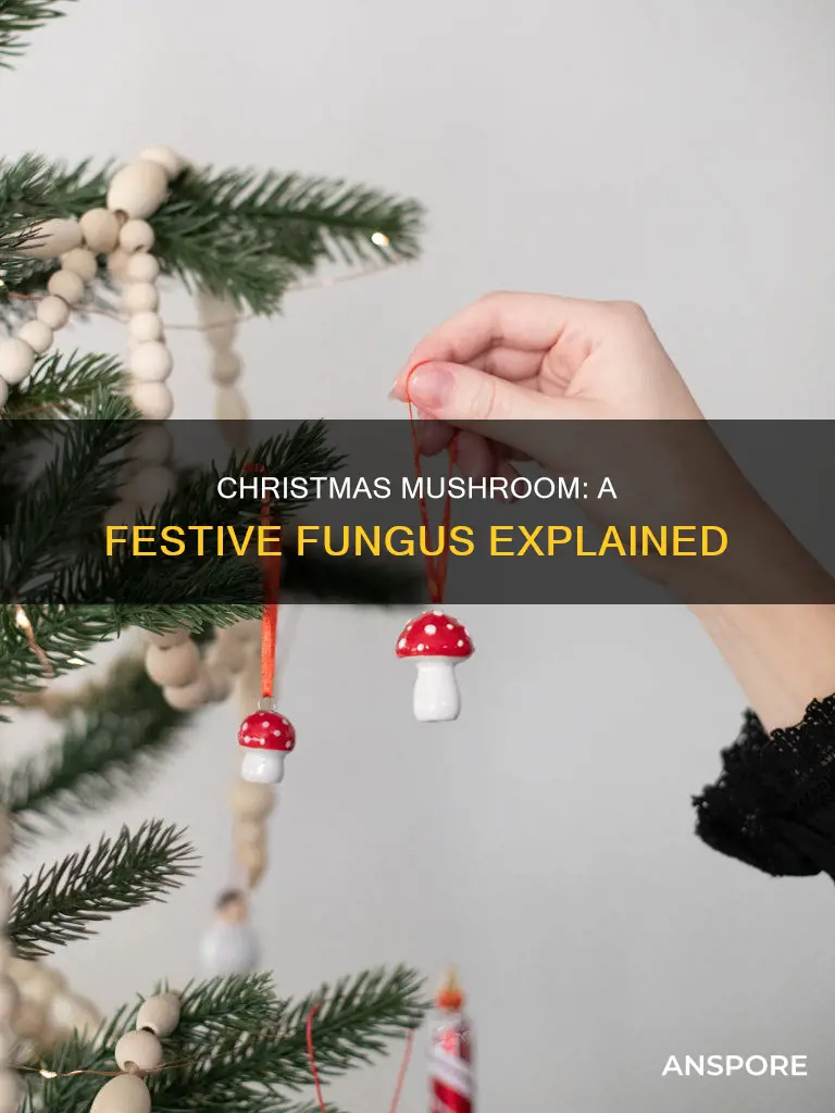 what is the christmas mushroom