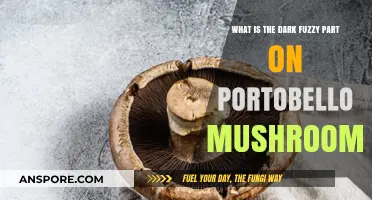 Understanding the Dark Fuzzy Part on Portobello Mushrooms: A Guide