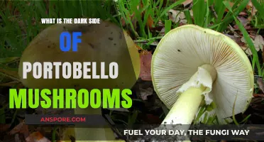 The Hidden Dangers of Portobello Mushrooms: Unveiling the Dark Side