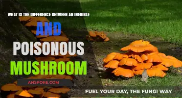 Inedible vs. Poisonous Mushrooms: Understanding the Crucial Differences