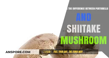 Portobello vs. Shiitake: Unveiling the Unique Differences in Mushrooms