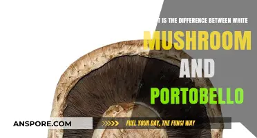 White Mushrooms vs. Portobello: Key Differences and Culinary Uses