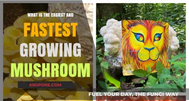 Discover the Fastest Growing Mushroom for Easy Home Cultivation