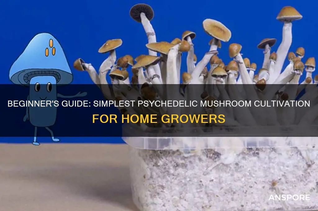 what is the easiest psychedelic mushroom to grow