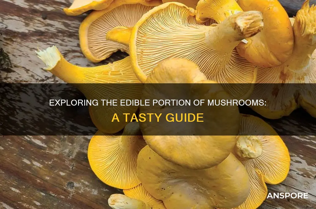 what is the edible portion of the mushroom