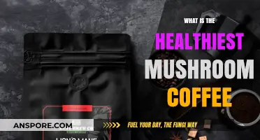 Discover the Ultimate Healthiest Mushroom Coffee for Optimal Wellness