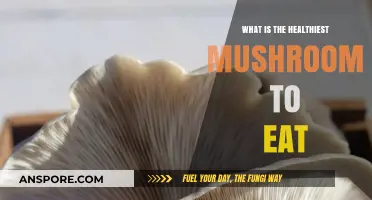 Discover the Ultimate Healthiest Mushroom to Boost Your Wellness