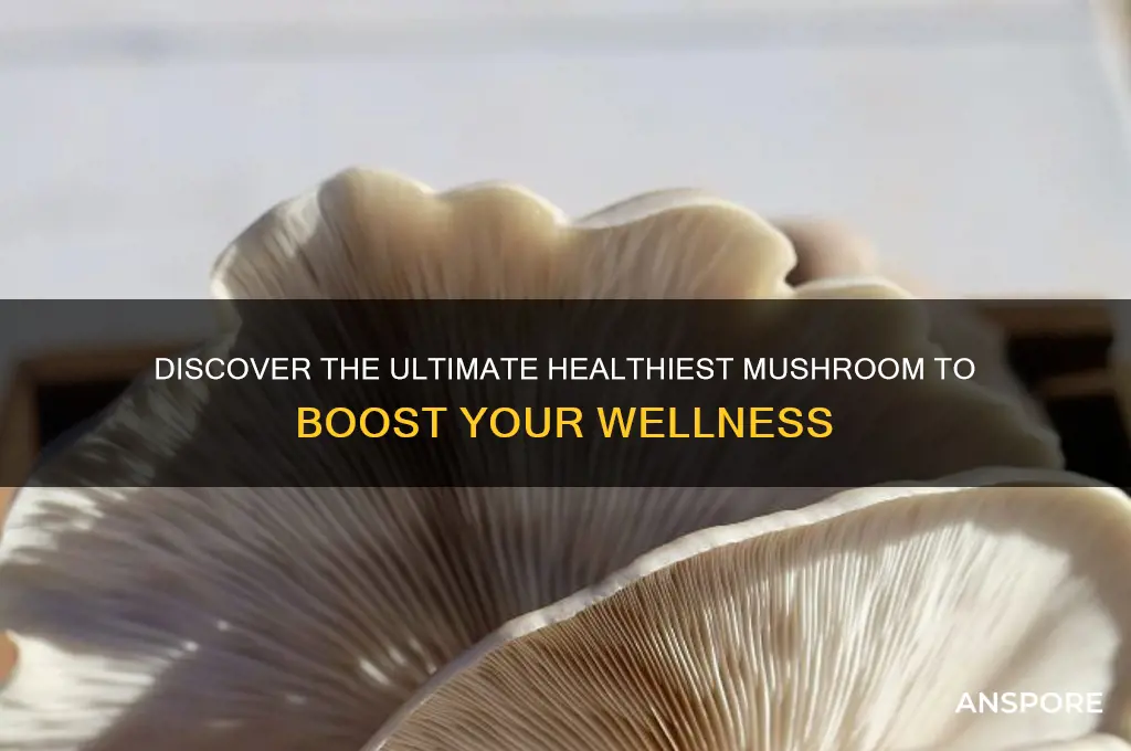 what is the healthiest mushroom to eat