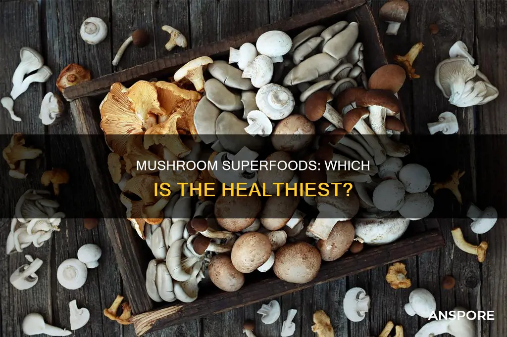 what is the healthiest mushroom