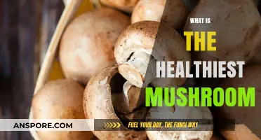 Mushrooms: Superfood Varieties and Their Benefits