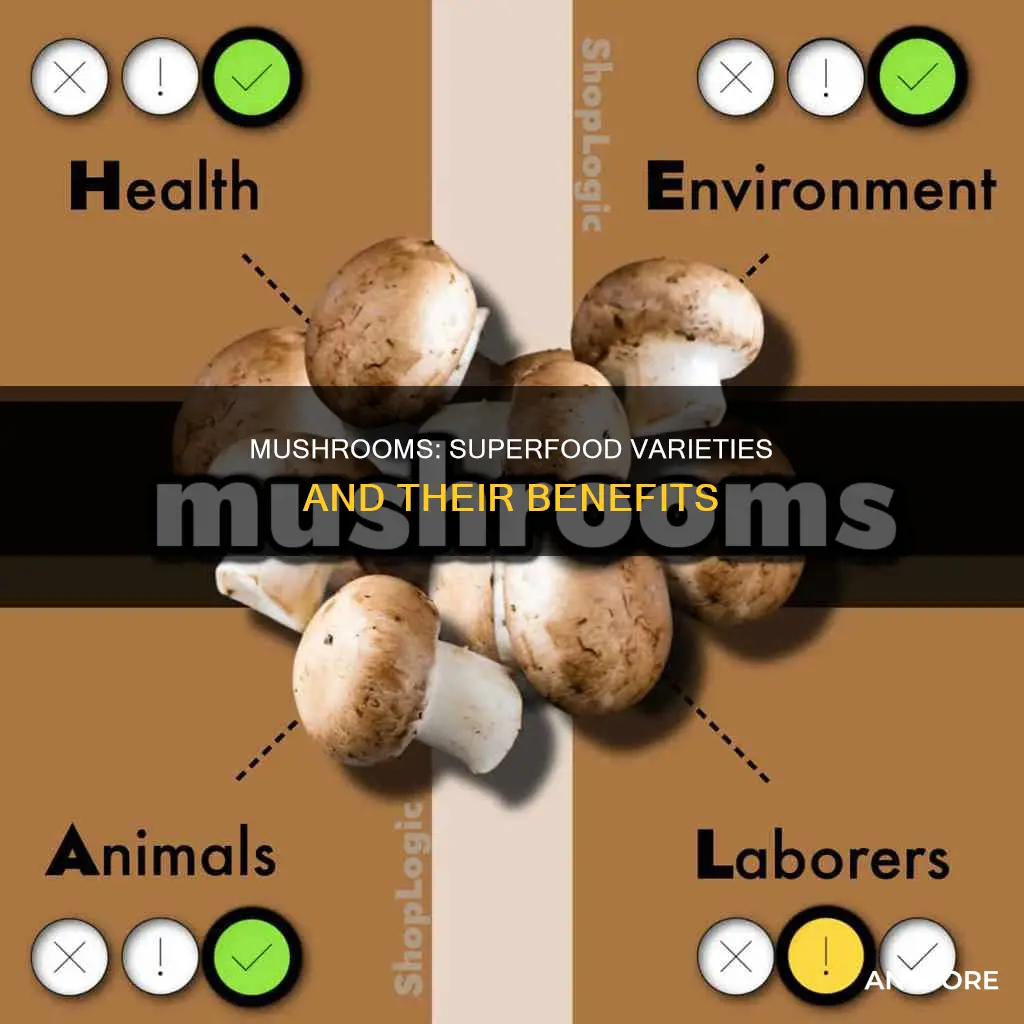 what is the healthiest mushrooms
