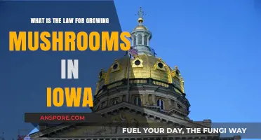 Iowa's Mushroom Cultivation Laws: What You Need to Know