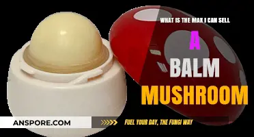 Maximize Your Profit: Selling Balm Mushrooms at the Highest Price