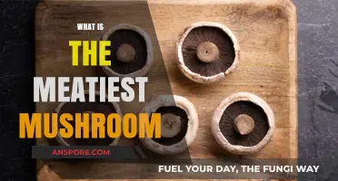 Meatiest Mushrooms: Discover the Ultimate Meat Alternatives