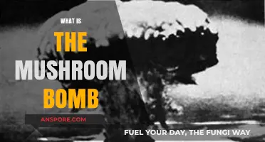 The Mushroom Cloud's Secret: Nuclear Explosions
