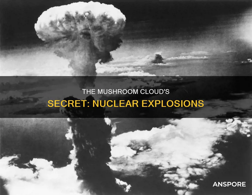 what is the mushroom bomb