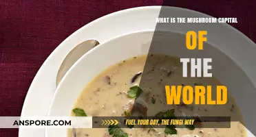 Exploring Kennett Square: The Mushroom Capital of the World Unveiled