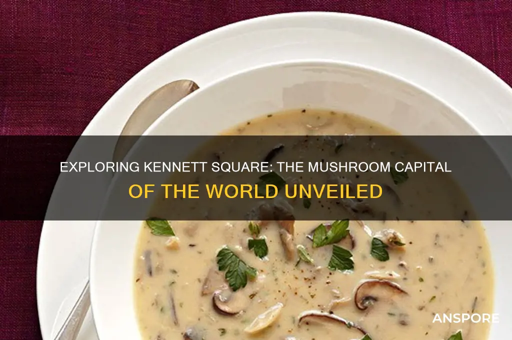 what is the mushroom capital of the world