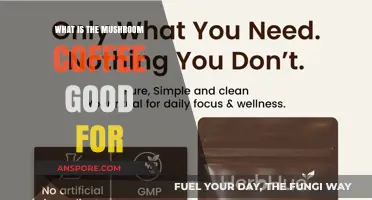 Mushroom Coffee Benefits: Boosting Energy, Immunity, and Focus Naturally