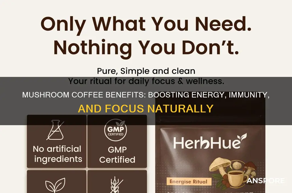 what is the mushroom coffee good for