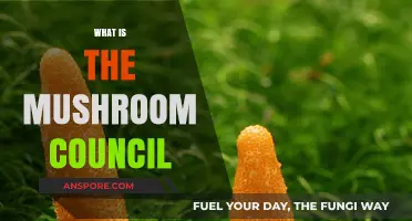 Mushroom Council: What's the Deal?