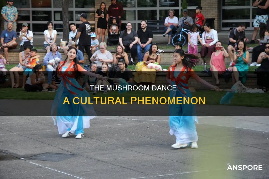 what is the mushroom dance