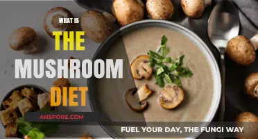 Mushroom Diet: Benefits of a Fungi-Centric Eating Plan