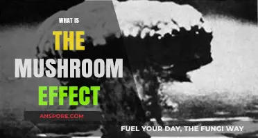 The Mushroom Effect: A Strange Growth Phenomenon
