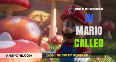 The Iconic Mushroom in Mario: Name, Origin, and Power-Up Secrets