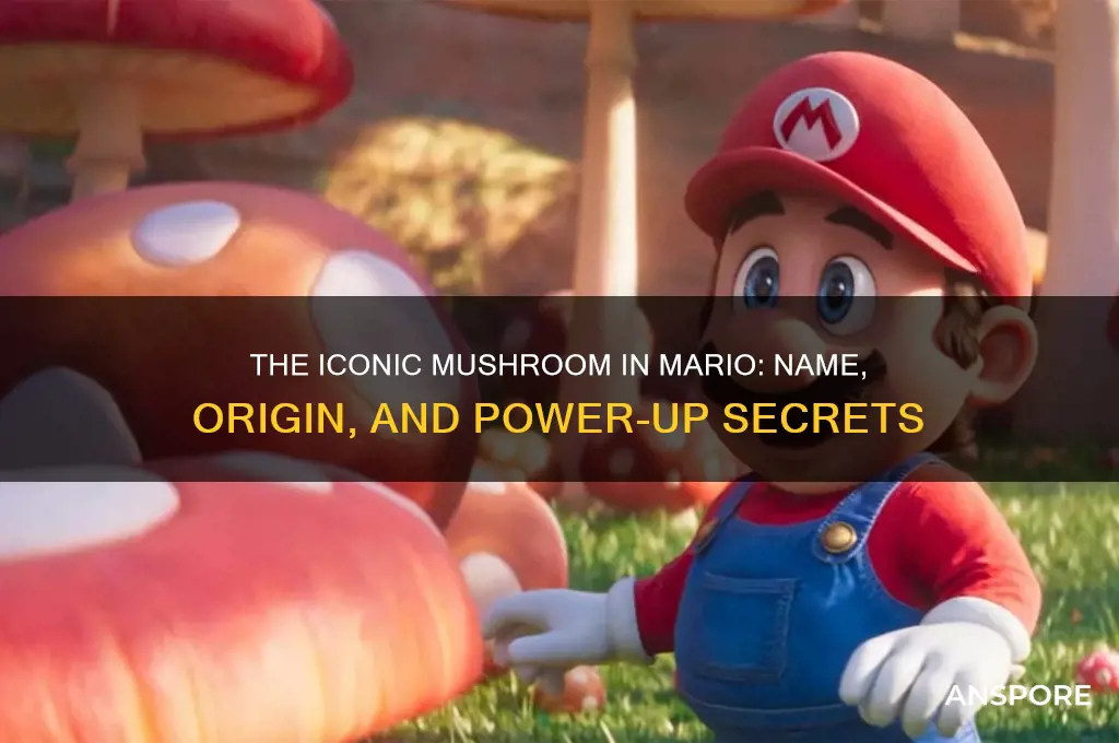 what is the mushroom in mario called