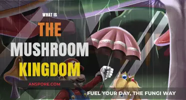 Mushroom Kingdom: A Magical Fungi World