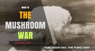 Mushroom War: A Post-Apocalyptic Adventure