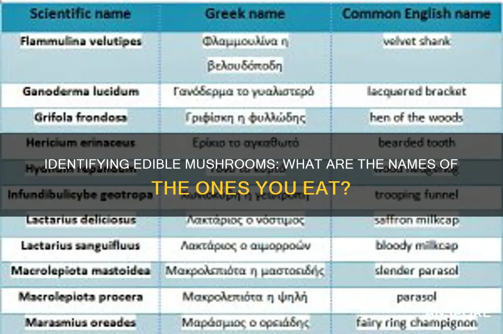 what is the name of the mushrooms i eat