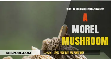 Discover the Nutritional Benefits of Morel Mushrooms: A Healthy Guide