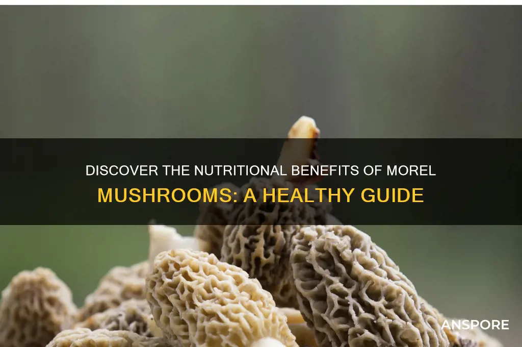 what is the nutritional value of a morel mushroom