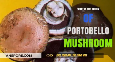 Unveiling the Surprising History and Origin of Portobello Mushrooms
