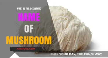 Unveiling the Scientific Name of Mushrooms: A Comprehensive Guide