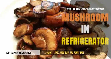 How Long Do Cooked Mushrooms Last in the Fridge?