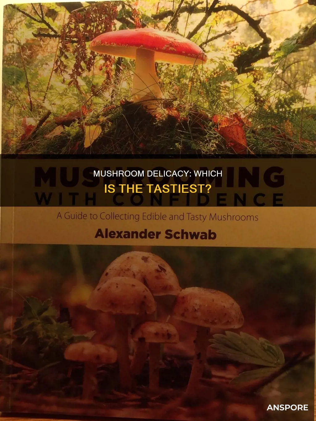 what is the tastiest mushroom