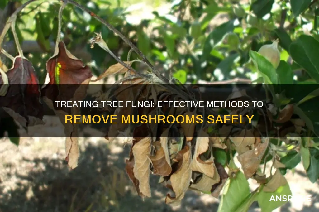 what is the treatment for mushrooms growing on a tree