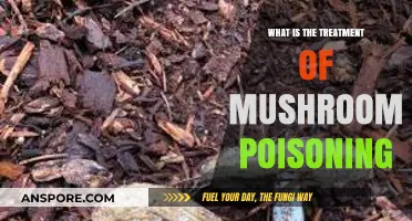 Effective Treatments for Mushroom Poisoning: Symptoms, Remedies, and Recovery Tips