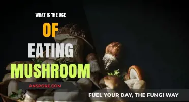 Discover the Surprising Health Benefits of Eating Mushrooms Daily