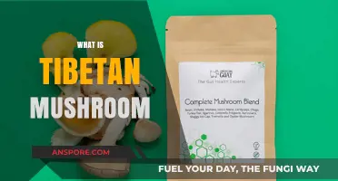 Mysterious Tibetan Mushroom: Ancient Healing Secrets