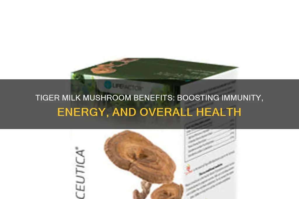 what is tiger milk mushroom good for